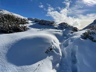 Bernese Oberland bölgesinin taze kar örtüsü üzerinde harika kış yürüyüş yolları ve izler Herrliche Winterwanderwege und Spuren auf der frischen Schneedecke, Schweiz