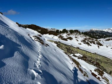 Bernese Oberland bölgesinin taze kar örtüsü üzerinde harika kış yürüyüş yolları ve izler Herrliche Winterwanderwege und Spuren auf der frischen Schneedecke, Schweiz