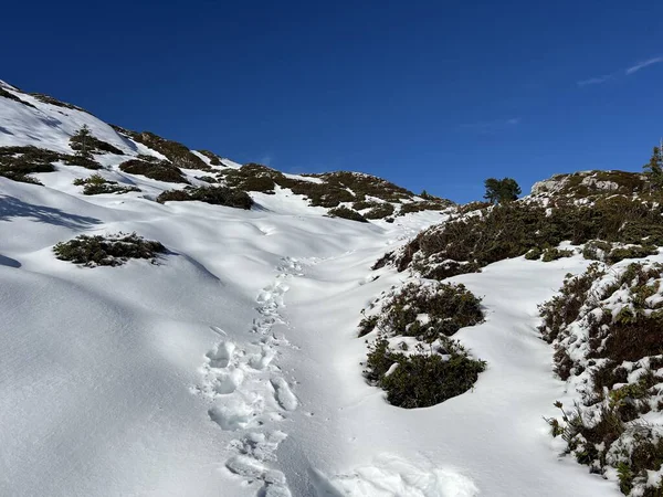 Bernese Oberland bölgesinin taze kar örtüsü üzerinde harika kış yürüyüş yolları ve izler Herrliche Winterwanderwege und Spuren auf der frischen Schneedecke, Schweiz