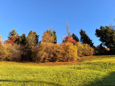İsviçre Alp Gölü Thun (Thunersee) - İsviçre Kantonu Bern, İsviçre (Kanton Bern, Schweiz)