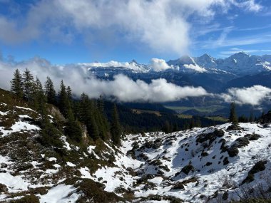İsviçre 'nin Bernese Oberland bölgesinde kozalaklı ağaçlar ve alp otlaklarıyla Evergreen Ormanı - Immergruener Nadelwald und Almwiesen in der Winterlandschaft, Schweiz