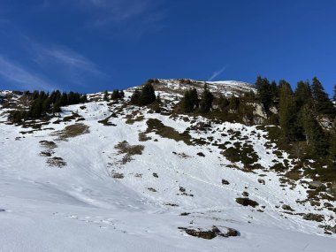 İsviçre 'nin Bernese Oberland bölgesinde kozalaklı ağaçlar ve alp otlaklarıyla Evergreen Ormanı - Immergruener Nadelwald und Almwiesen in der Winterlandschaft, Schweiz