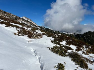 İsviçre 'nin iklim değişikliği ve küresel ısınmanın yol açtığı İsviçre Alplerindeki taze kar örtüsünün hızlandırılmış erimesi, İsviçre - Schweizer Alplerindeki Beschleunigtes Abschmelzen der Neuschneedecke in den Schweizer Alpen