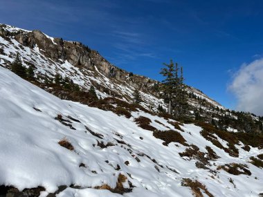 İsviçre 'nin iklim değişikliği ve küresel ısınmanın yol açtığı İsviçre Alplerindeki taze kar örtüsünün hızlandırılmış erimesi, İsviçre - Schweizer Alplerindeki Beschleunigtes Abschmelzen der Neuschneedecke in den Schweizer Alpen