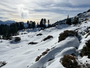 İsviçre 'nin iklim değişikliği ve küresel ısınmanın yol açtığı İsviçre Alplerindeki taze kar örtüsünün hızlandırılmış erimesi, İsviçre - Schweizer Alplerindeki Beschleunigtes Abschmelzen der Neuschneedecke in den Schweizer Alpen