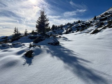 İsviçre 'nin iklim değişikliği ve küresel ısınmanın yol açtığı İsviçre Alplerindeki taze kar örtüsünün hızlandırılmış erimesi, İsviçre - Schweizer Alplerindeki Beschleunigtes Abschmelzen der Neuschneedecke in den Schweizer Alpen