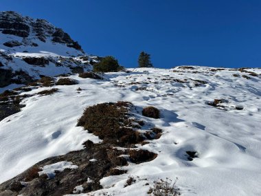 İsviçre 'nin iklim değişikliği ve küresel ısınmanın yol açtığı İsviçre Alplerindeki taze kar örtüsünün hızlandırılmış erimesi, İsviçre - Schweizer Alplerindeki Beschleunigtes Abschmelzen der Neuschneedecke in den Schweizer Alpen