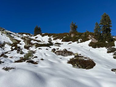 İsviçre 'nin iklim değişikliği ve küresel ısınmanın yol açtığı İsviçre Alplerindeki taze kar örtüsünün hızlandırılmış erimesi, İsviçre - Schweizer Alplerindeki Beschleunigtes Abschmelzen der Neuschneedecke in den Schweizer Alpen