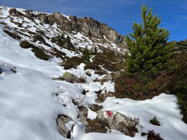 İsviçre 'nin Alp bölgesinde ve İsviçre' nin Bernese Oberland bölgesinde, Schweizer Alpenschaft 'taki Bergrouten' de yürüyüş rotaları veya dağcılık rotaları