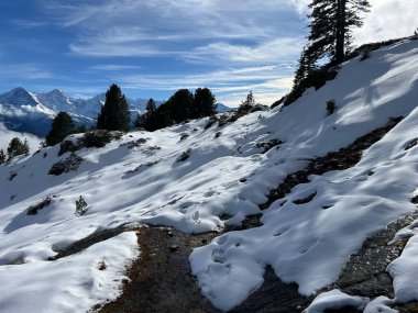 İsviçre 'nin Alp bölgesinde ve İsviçre' nin Bernese Oberland bölgesinde, Schweizer Alpenschaft 'taki Bergrouten' de yürüyüş rotaları veya dağcılık rotaları