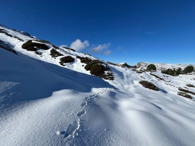 Bernese Oberland bölgesinin taze kar örtüsü üzerinde harika kış yürüyüş yolları ve izler Herrliche Winterwanderwege und Spuren auf der frischen Schneedecke, Schweiz