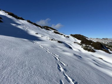 Bernese Oberland bölgesinin taze kar örtüsü üzerinde harika kış yürüyüş yolları ve izler Herrliche Winterwanderwege und Spuren auf der frischen Schneedecke, Schweiz