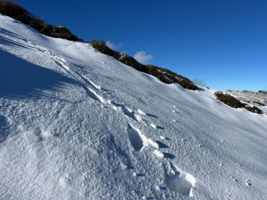 Bernese Oberland bölgesinin taze kar örtüsü üzerinde harika kış yürüyüş yolları ve izler Herrliche Winterwanderwege und Spuren auf der frischen Schneedecke, Schweiz