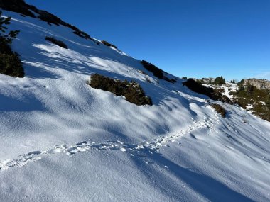 Bernese Oberland bölgesinin taze kar örtüsü üzerinde harika kış yürüyüş yolları ve izler Herrliche Winterwanderwege und Spuren auf der frischen Schneedecke, Schweiz
