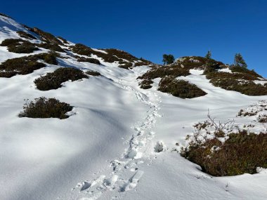 Bernese Oberland bölgesinin taze kar örtüsü üzerinde harika kış yürüyüş yolları ve izler Herrliche Winterwanderwege und Spuren auf der frischen Schneedecke, Schweiz