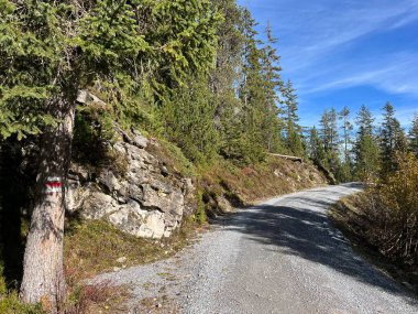İsviçre 'nin Alp bölgesinde ve İsviçre' nin Bernese Oberland bölgesinde, Schweizer Alpenschaft 'taki Berderwege Oder Bergrouten' de sonbaharda yürüyüş rotaları veya dağcılık rotaları.