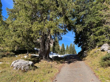 İsviçre 'nin Alp bölgesinde ve İsviçre' nin Bernese Oberland bölgesinde, Schweizer Alpenschaft 'taki Berderwege Oder Bergrouten' de sonbaharda yürüyüş rotaları veya dağcılık rotaları.