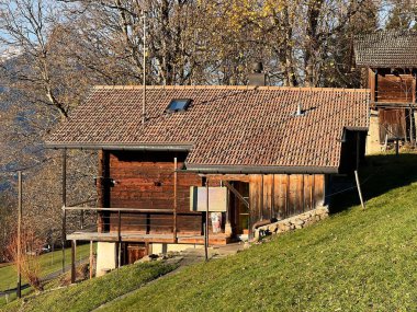 Geleneksel kırsal mimari ve İsviçre 'nin Bernese Oberland bölgesinin aile çiftlikleri - Geleneksel laendliche Architektur und familiengefuehrte Viehzuchtbetriebe der Berner Oberland