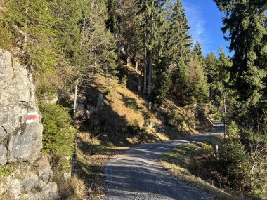 İsviçre 'nin Alp bölgesinde ve İsviçre' nin Bernese Oberland bölgesinde, Schweizer Alpenschaft, Schweiz 'deki Bergrouten otlaklarında yürüyüş rotaları veya dağcılık rotaları