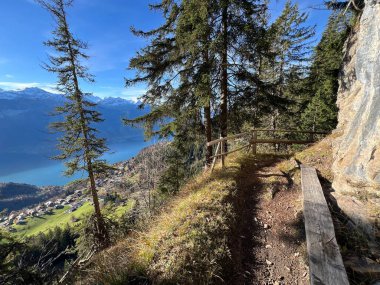 İsviçre 'nin Alp bölgesinde ve İsviçre' nin Bernese Oberland bölgesinde, Schweizer Alpenschaft, Schweiz 'deki Bergrouten otlaklarında yürüyüş rotaları veya dağcılık rotaları