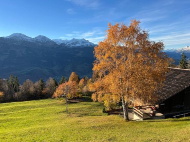 İsviçre Alp Gölü Thun (Thunersee) - İsviçre Kantonu Bern, İsviçre (Kanton Bern, Schweiz)