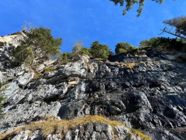 Thurn Gölü 'nün yukarısındaki dik kayalıklar ve İsviçre' nin Bernese Oberland bölgesinde Steile Felsen oder alpine Klippen oberhalb des Thurnsees und in der Berner Oberland-Region der Schweiz