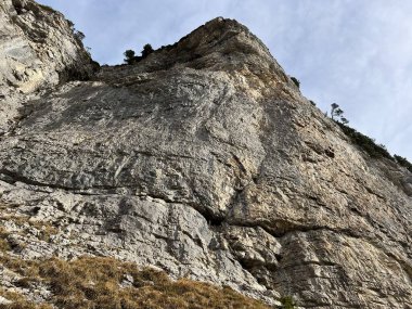 Sigriswilergrat dağındaki dik alp kayaları veya Emmental Alplerdeki Sigriswilergrat sırtındaki kayalık kayalıklar ve İsviçre 'deki Bernese Oberland, İsviçre (Berner Oberland, Schweiz)