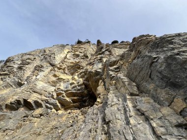 Sigriswilergrat dağındaki dik alp kayaları veya Emmental Alplerdeki Sigriswilergrat sırtındaki kayalık kayalıklar ve İsviçre 'deki Bernese Oberland, İsviçre (Berner Oberland, Schweiz)