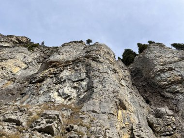Sigriswilergrat dağındaki dik alp kayaları veya Emmental Alplerdeki Sigriswilergrat sırtındaki kayalık kayalıklar ve İsviçre 'deki Bernese Oberland, İsviçre (Berner Oberland, Schweiz)