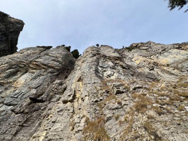 Sigriswilergrat dağındaki dik alp kayaları veya Emmental Alplerdeki Sigriswilergrat sırtındaki kayalık kayalıklar ve İsviçre 'deki Bernese Oberland, İsviçre (Berner Oberland, Schweiz)