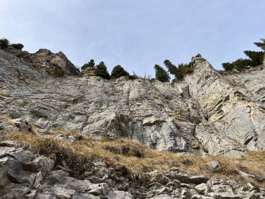 Sigriswilergrat dağındaki dik alp kayaları veya Emmental Alplerdeki Sigriswilergrat sırtındaki kayalık kayalıklar ve İsviçre 'deki Bernese Oberland, İsviçre (Berner Oberland, Schweiz)