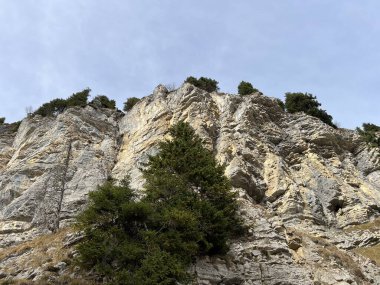 Sigriswilergrat dağındaki dik alp kayaları veya Emmental Alplerdeki Sigriswilergrat sırtındaki kayalık kayalıklar ve İsviçre 'deki Bernese Oberland, İsviçre (Berner Oberland, Schweiz)