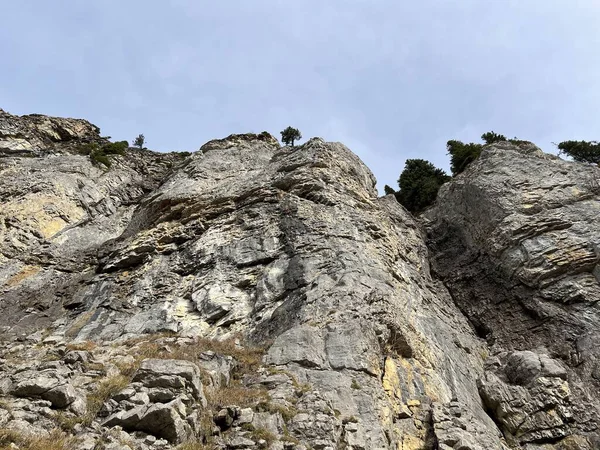Sigriswilergrat dağındaki dik alp kayaları veya Emmental Alplerdeki Sigriswilergrat sırtındaki kayalık kayalıklar ve İsviçre 'deki Bernese Oberland, İsviçre (Berner Oberland, Schweiz)
