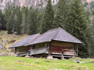 Geleneksel kırsal mimari ve İsviçre 'nin Bernese Oberland bölgesinin aile çiftlikleri - Geleneksel laendliche Architektur und familiengefuehrte Viehzuchtbetriebe der Berner Oberland