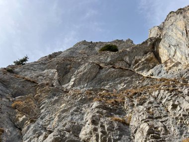 Sigriswilergrat dağındaki dik alp kayaları veya Emmental Alplerdeki Sigriswilergrat sırtındaki kayalık kayalıklar ve İsviçre 'deki Bernese Oberland, İsviçre (Berner Oberland, Schweiz)