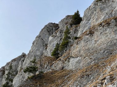Sigriswilergrat dağındaki dik alp kayaları veya Emmental Alplerdeki Sigriswilergrat sırtındaki kayalık kayalıklar ve İsviçre 'deki Bernese Oberland, İsviçre (Berner Oberland, Schweiz)