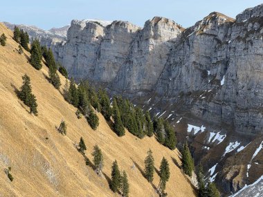 Sigriswilergrat dağındaki dik alp kayaları veya Emmental Alplerdeki Sigriswilergrat sırtındaki kayalık kayalıklar ve İsviçre 'deki Bernese Oberland, İsviçre (Berner Oberland, Schweiz)