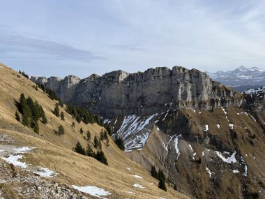 Sigriswilergrat dağındaki dik alp kayaları veya Emmental Alplerdeki Sigriswilergrat sırtındaki kayalık kayalıklar ve İsviçre 'deki Bernese Oberland, İsviçre (Berner Oberland, Schweiz)