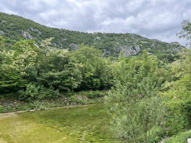 Rjecina Nehri (İtalyanca; Eneo veya Fiumara, Almanca; Flaum veya Pflaum), Hırvatistan - Rijeka Rjecina (Ricina ili Recina), Hrvatska