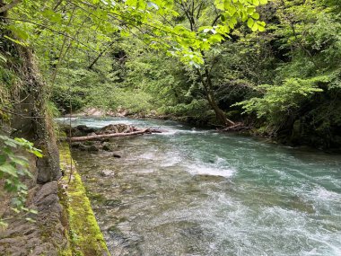 Rjecina Nehri (İtalyanca; Eneo veya Fiumara, Almanca; Flaum veya Pflaum), Hırvatistan - Rijeka Rjecina (Ricina ili Recina), Hrvatska