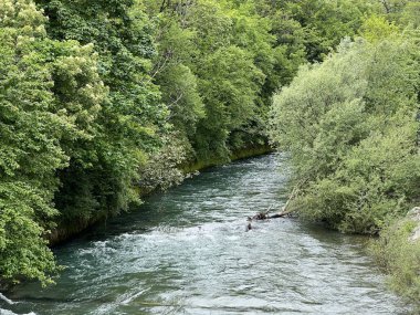 Rjecina Nehri (İtalyanca; Eneo veya Fiumara, Almanca; Flaum veya Pflaum), Hırvatistan - Rijeka Rjecina (Ricina ili Recina), Hrvatska
