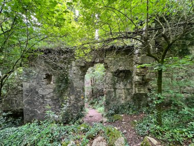 Zakalj 'daki değirmen veya Rjecina Nehri' ndeki Zakalj eski değirmeni (Rijeka, Hırvatistan) - Mlin u Zzekju kapsülü Orehovicom ili rusevine Starog mlina Zakalj na rijeci Rjecini (Rijeka, Hrvatska, Hrvatska)