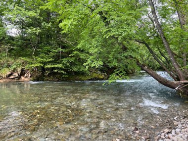 Rjecina Nehri (İtalyanca; Eneo veya Fiumara, Almanca; Flaum veya Pflaum), Hırvatistan - Rijeka Rjecina (Ricina ili Recina), Hrvatska