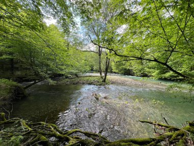 Rjecina Nehri (İtalyanca; Eneo veya Fiumara, Almanca; Flaum veya Pflaum), Hırvatistan - Rijeka Rjecina (Ricina ili Recina), Hrvatska