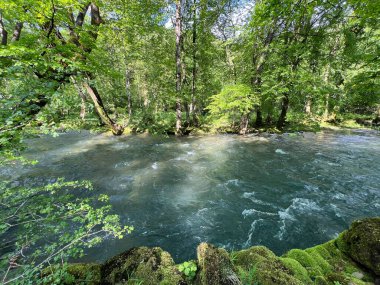 Rjecina Nehri (İtalyanca; Eneo veya Fiumara, Almanca; Flaum veya Pflaum), Hırvatistan - Rijeka Rjecina (Ricina ili Recina), Hrvatska