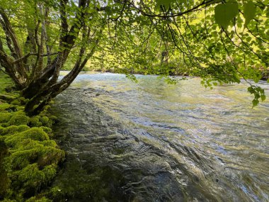 Rjecina Nehri (İtalyanca; Eneo veya Fiumara, Almanca; Flaum veya Pflaum), Hırvatistan - Rijeka Rjecina (Ricina ili Recina), Hrvatska