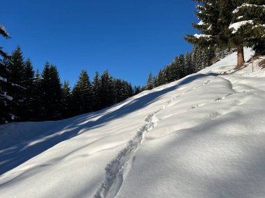 İsviçre Alplerinde ve St. Antoenien köyünde (Kanton Graubuenden, Schweiz)