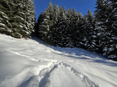İsviçre Alplerinde ve St. Antoenien köyünde (Kanton Graubuenden, Schweiz)