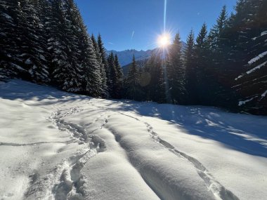 İsviçre Alplerinde ve St. Antoenien köyünde (Kanton Graubuenden, Schweiz)