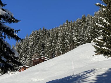 İsviçre Alplerinde ve St. Antonien (St. Antonien) köyünde tipik bir kış atmosferindeki alp ağaçlarının resimli tepe örtüleri (Kanton Graubuenden, Schweiz)